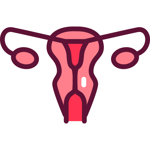 Gynaecology