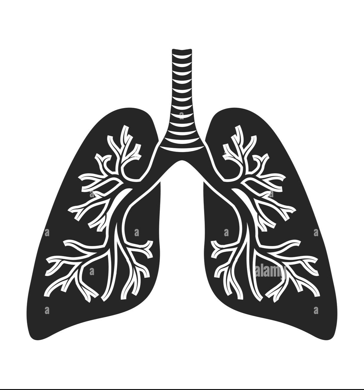 Pulmonolgy